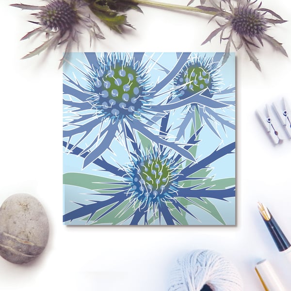 Blue Eryngium card - seaside flower, thistle, for gardeners