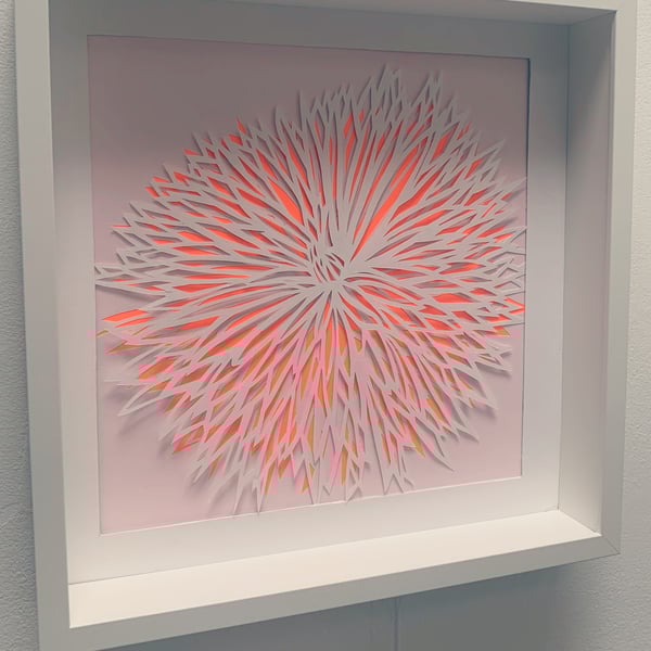 Dahlia