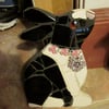 Mosaic Dutch Dwarf Rabbit