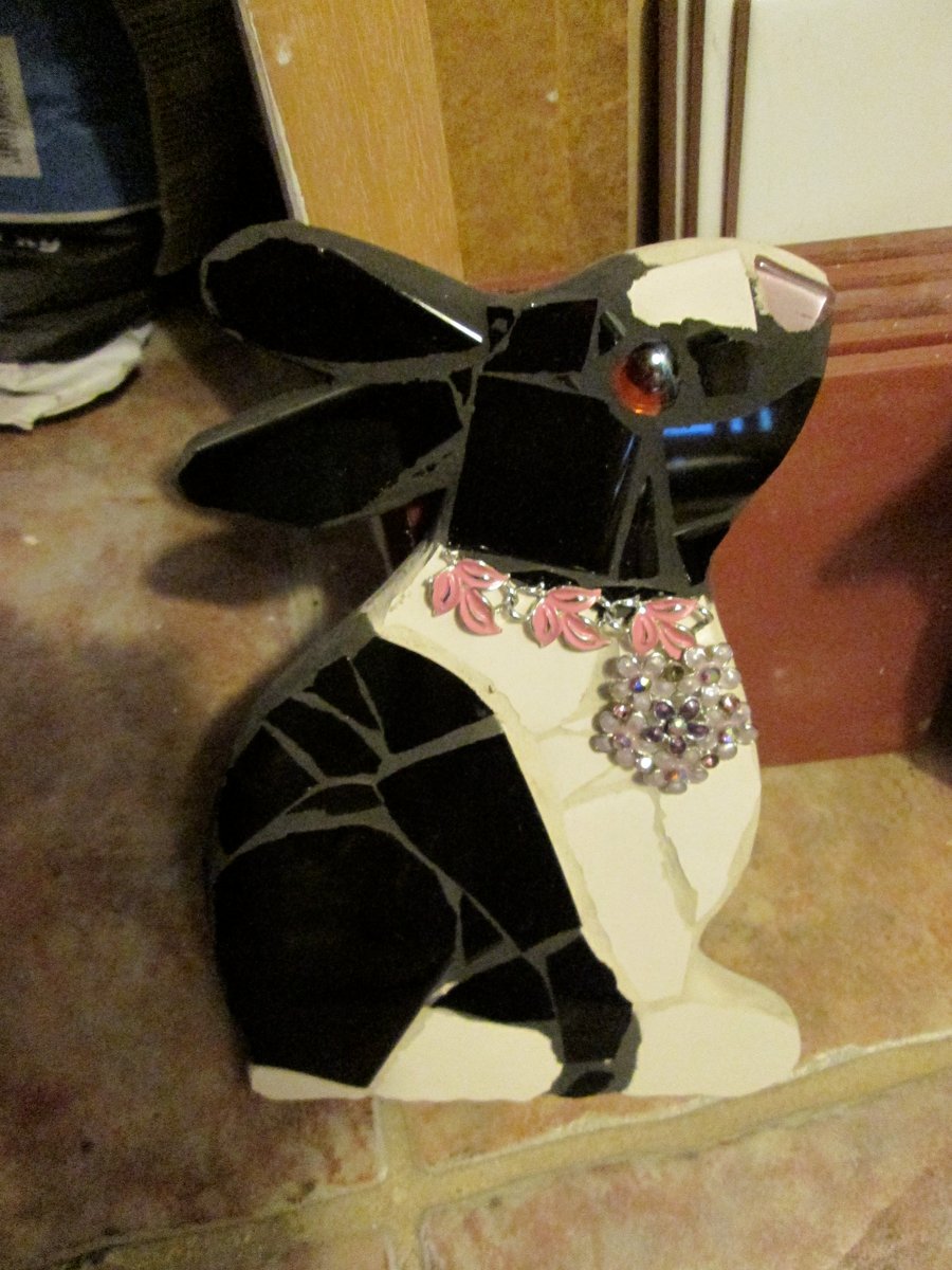 Mosaic Dutch Dwarf Rabbit