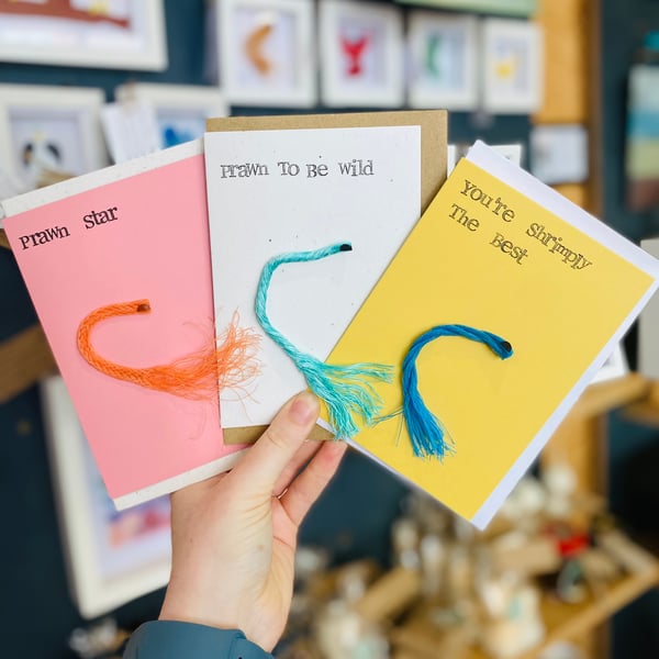 Beach Waste Greetings Cards set of 3 - Shrimps & Prawns