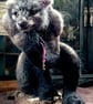 Large needlefelt fantasy werewolf sculpture  - Image 3