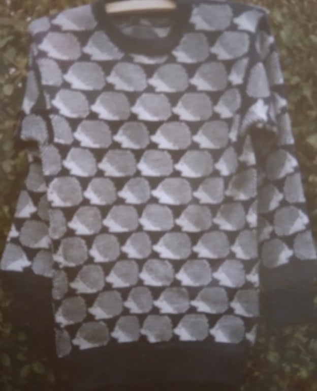 Hedgehog jumper with an all over design.Made to measure any colour