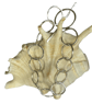 Silver Statement Chain Bracelet - Image 1