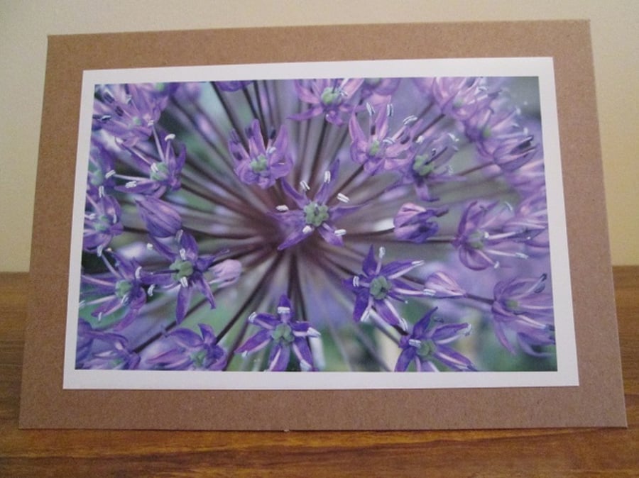 Allium Photo Greetings Card