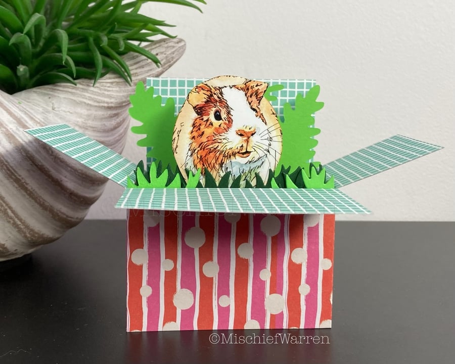 Guinea pig Box Card. Blank or Personalised Guinea Pig Card 3D gift card holder.