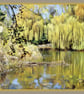 Gooderstone Water Gardens Norfolk Greeting Card A5