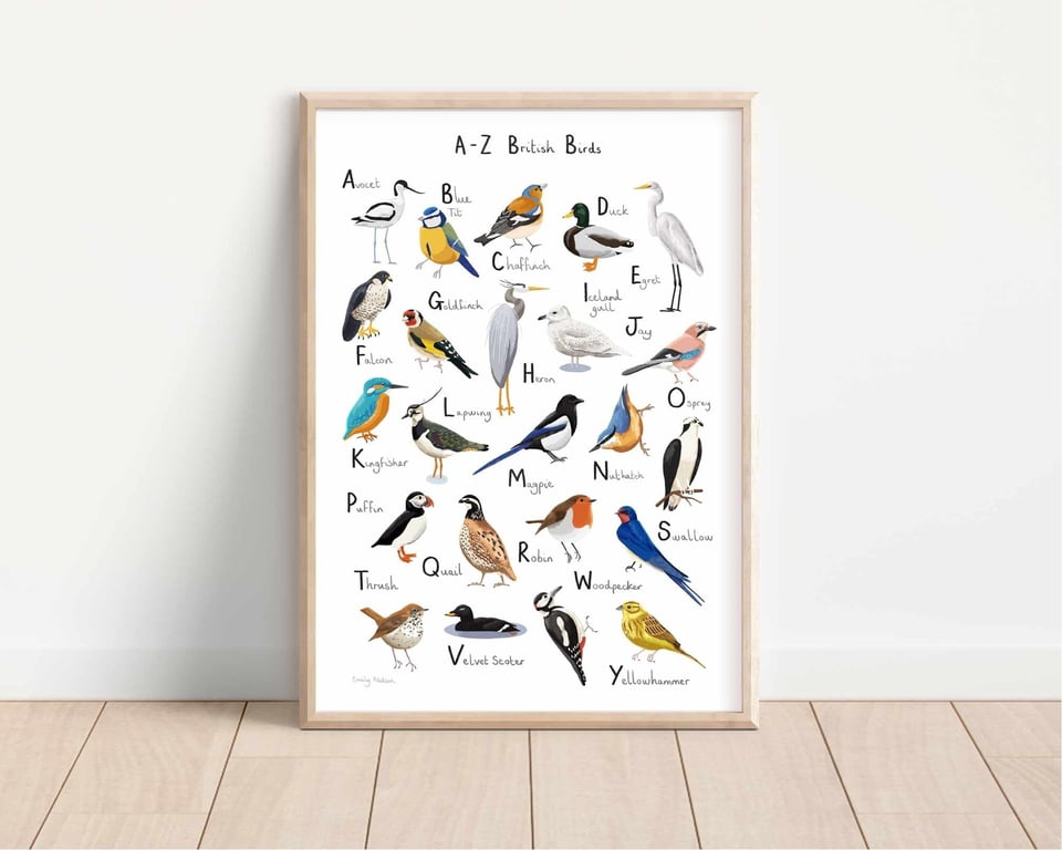 British Birds A-Z Illustrated Art Print: Nature Lover Gift