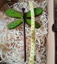 Dragonfly  - Image 5