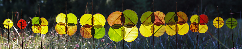Original Leaf Sculpture by Richard Shilling