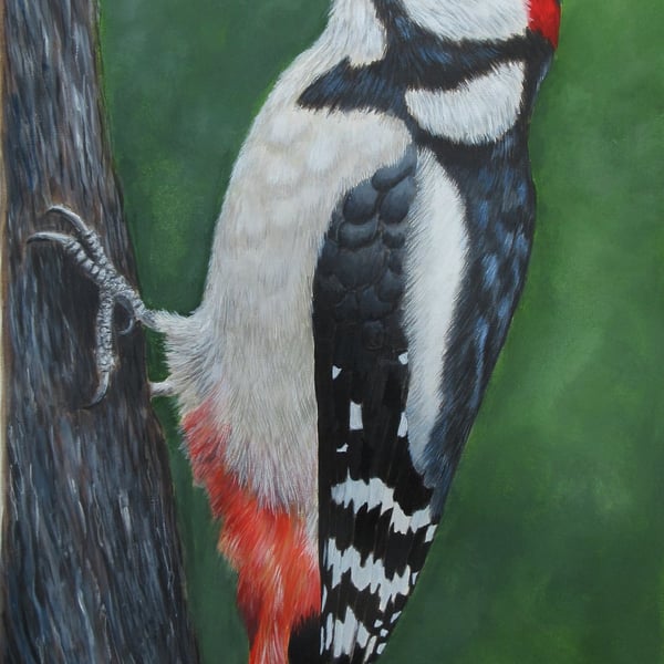 'Woodland Rhythm' Great Spotted Woodpecker Acrylic Painting