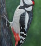 'Woodland Rhythm' Great Spotted Woodpecker Acrylic Painting