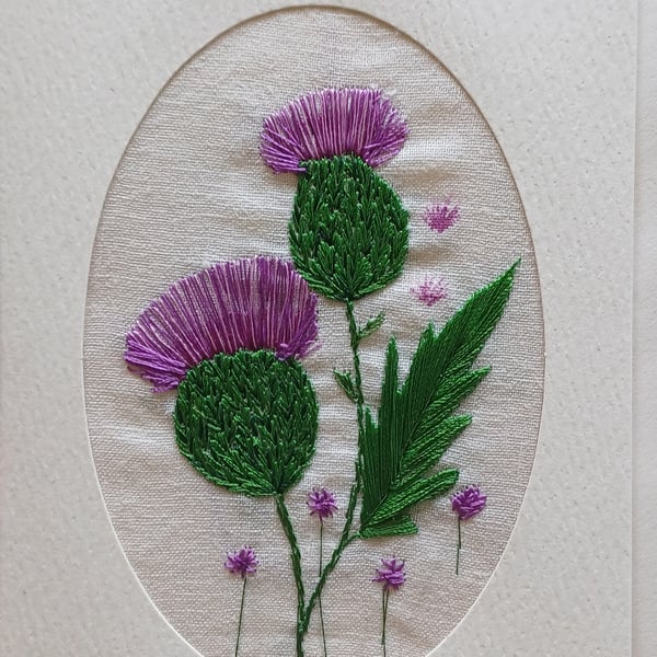 Thistle 