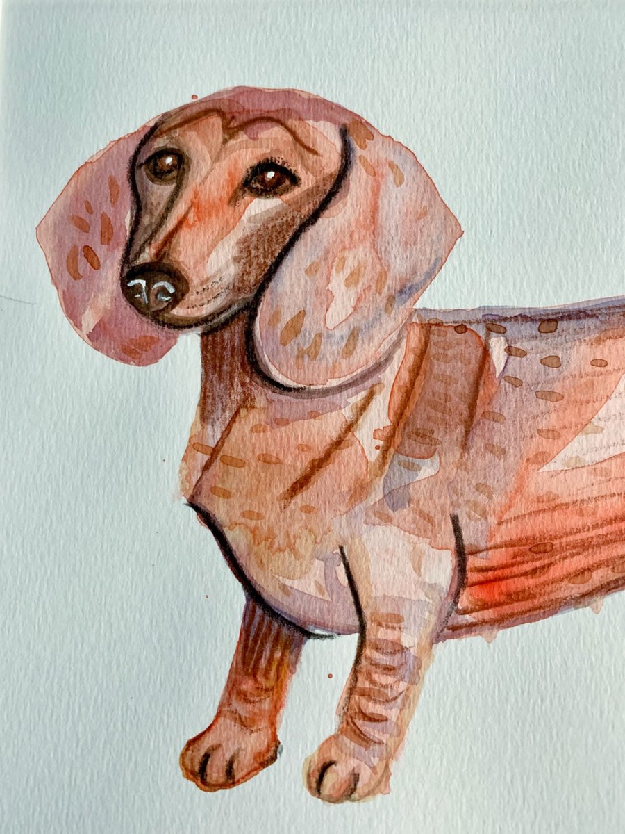 Dachshund dog original painting 