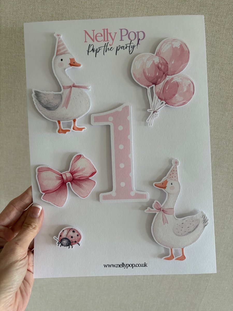 Silly Goose First Birthday Cake Accessory Pack