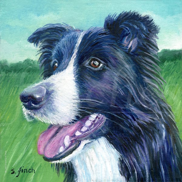 Spirit of Dog - Limited Edition Giclée Print of Border Collie