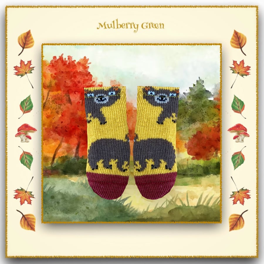 Reserved for Maxine - Little Bear Socks