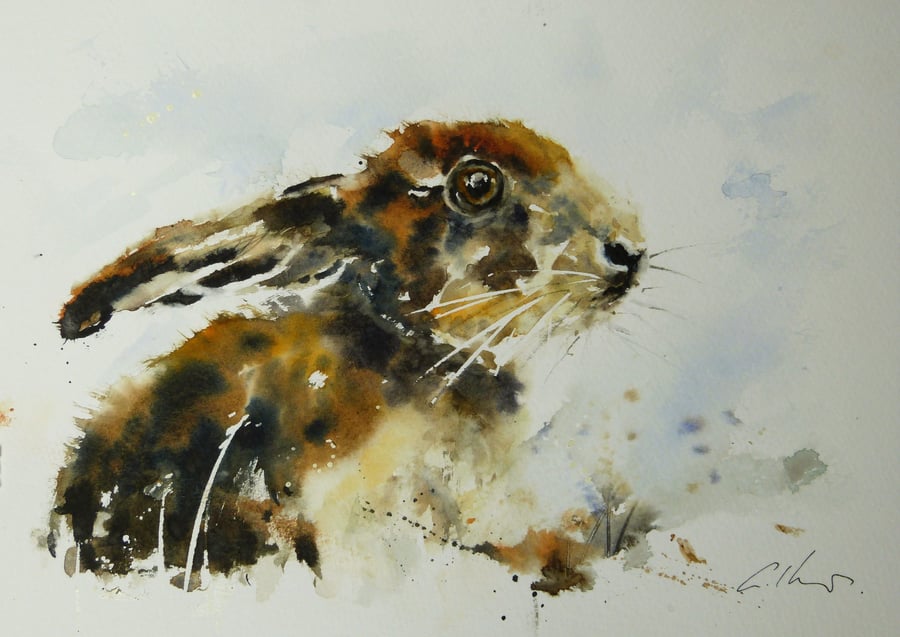 Young Hare, Original Watercolour Painting.