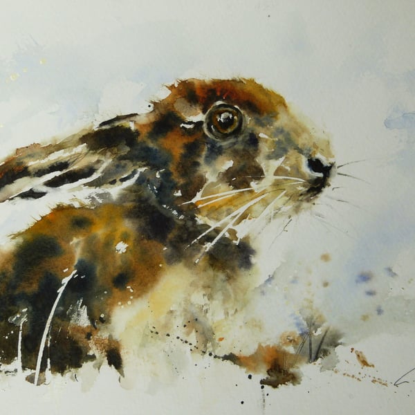 Young Hare, Original Watercolour Painting.