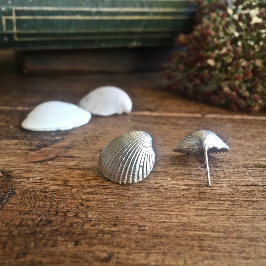 Sterling silver sea shell earrings 