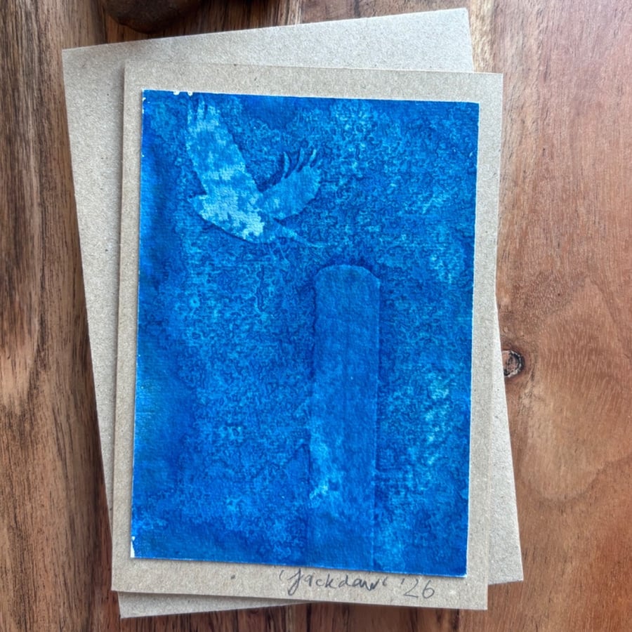 Cyanotype Image - Jackdaw