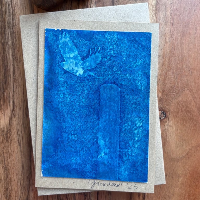 Cyanotype Image - Jackdaw