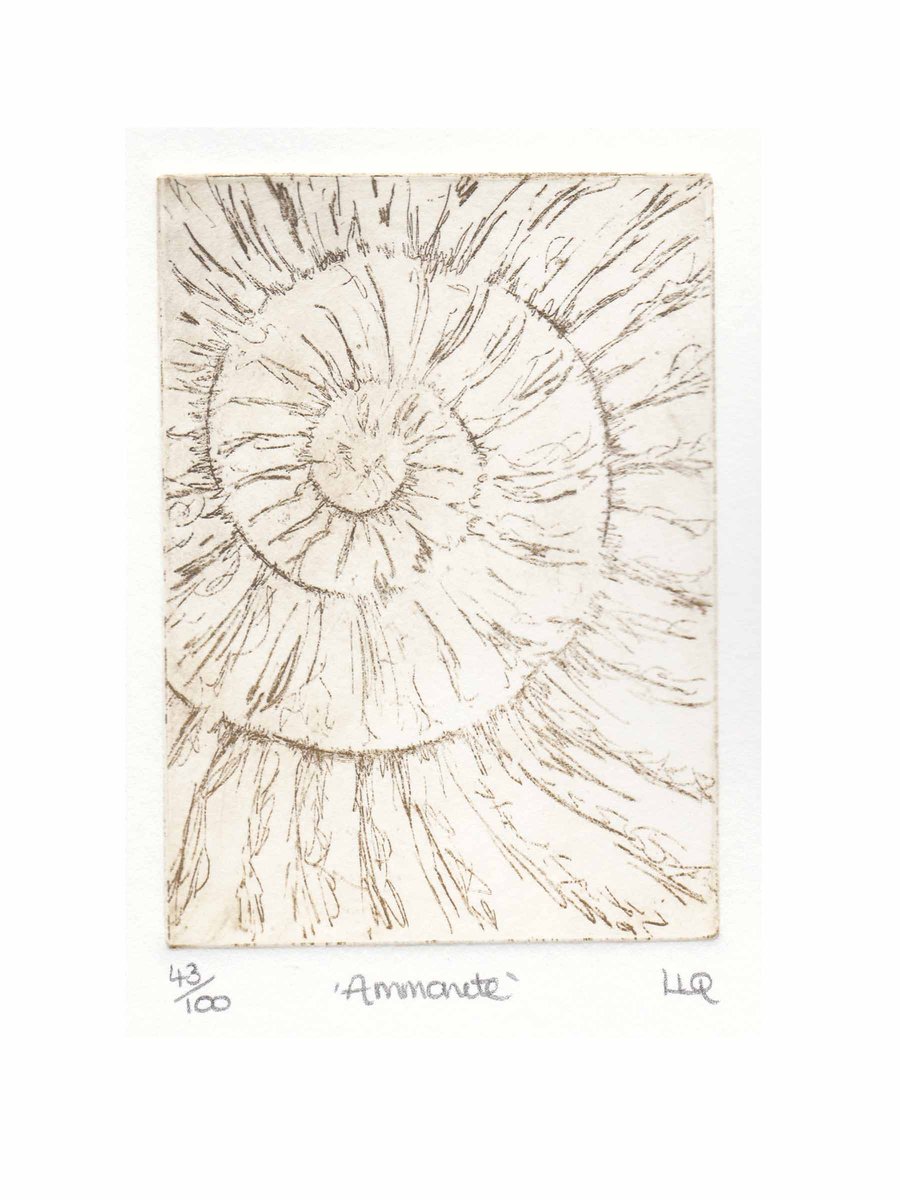 Etching no.43 of an ammonite fossil in an edition of 100