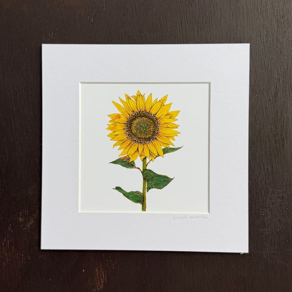 'Sunflower' 8" x 8" Mounted Print
