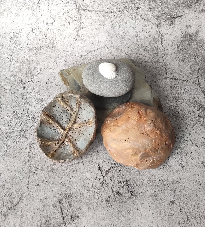 Sea Fossil Dish, Clay Pastel Trinket Bowl, Handmade Ceramic Vessel