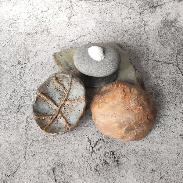 Sea Fossil Dish, Clay Pastel Trinket Bowl, Handmade Ceramic Vessel