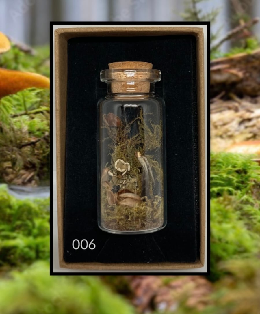 Forest curio jar