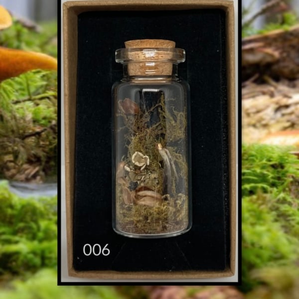 Forest curio jar