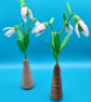 Snowdrop - Image 3