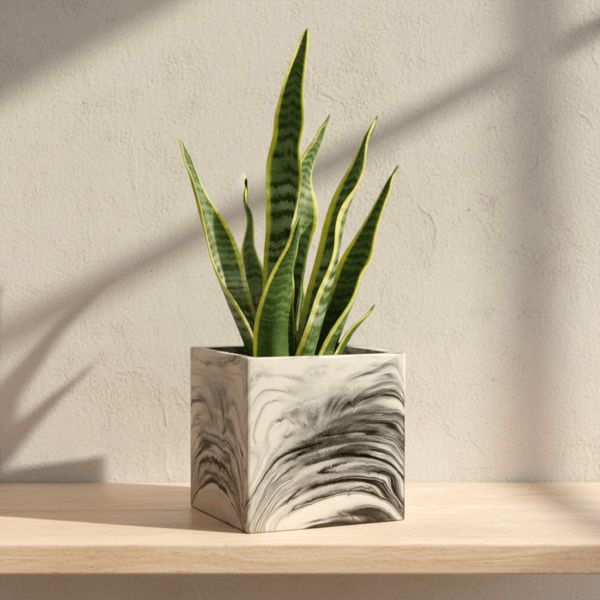 Plant Pot Cube - Unique White with Black Marbling Square Planter