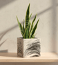 Plant Pot Cube - Unique White with Black Marbling Square Planter - Image 1