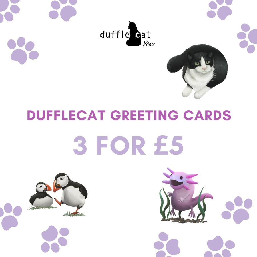 3 Dufflecat Blank Greeting Cards