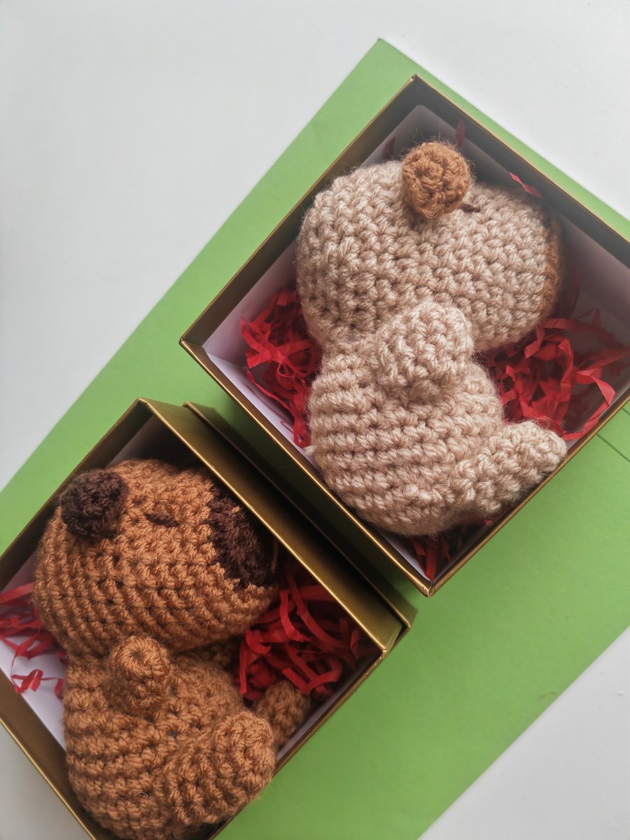 Handmade Crochet Capybara Amigurumi Duo - Gift Boxed Plushie Set
