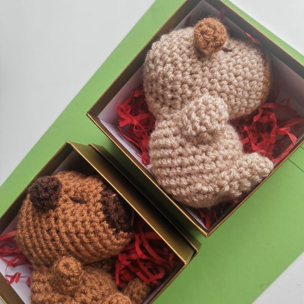 Handmade Crochet Capybara Amigurumi Duo - Gift Boxed Plushie Set
