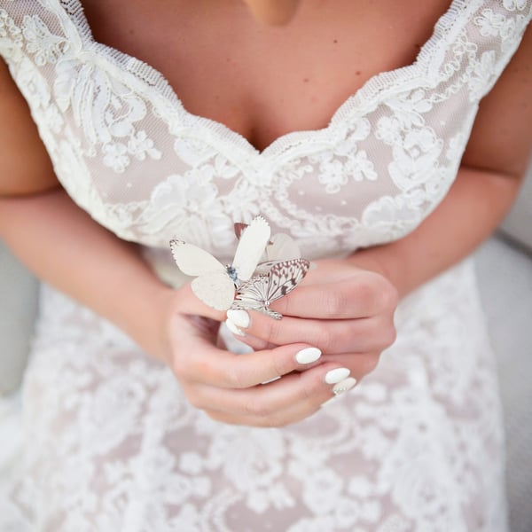 Sheer silk butterfly hair pins, ivory trio