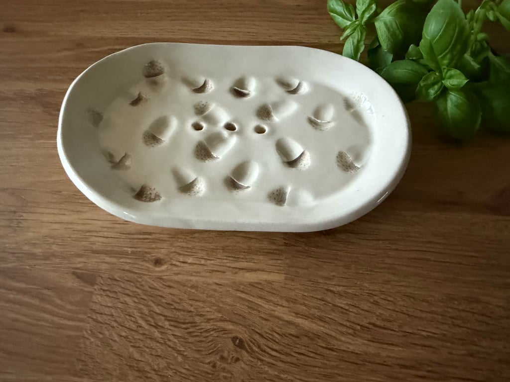 Ceramic oval acorn soap holder