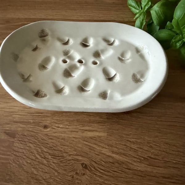 Ceramic oval acorn soap holder