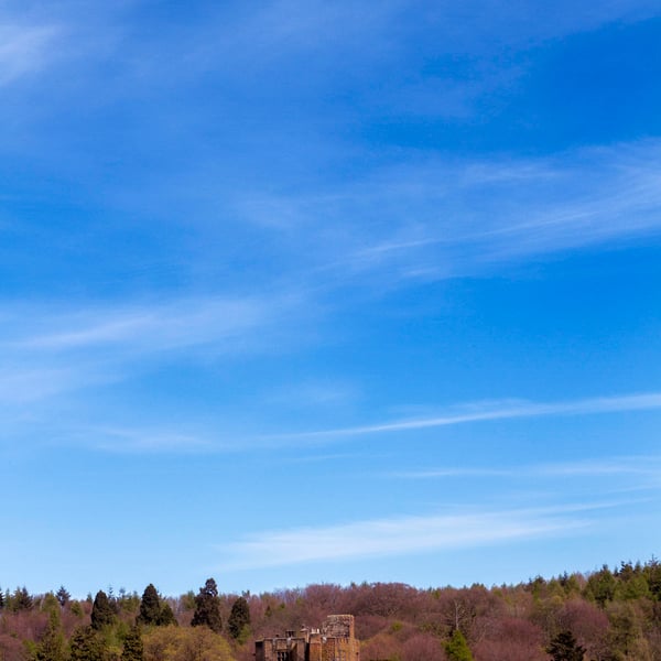 Bothal Castle, Northumberland print