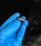 Resin ring with small and large glitter - Image 3