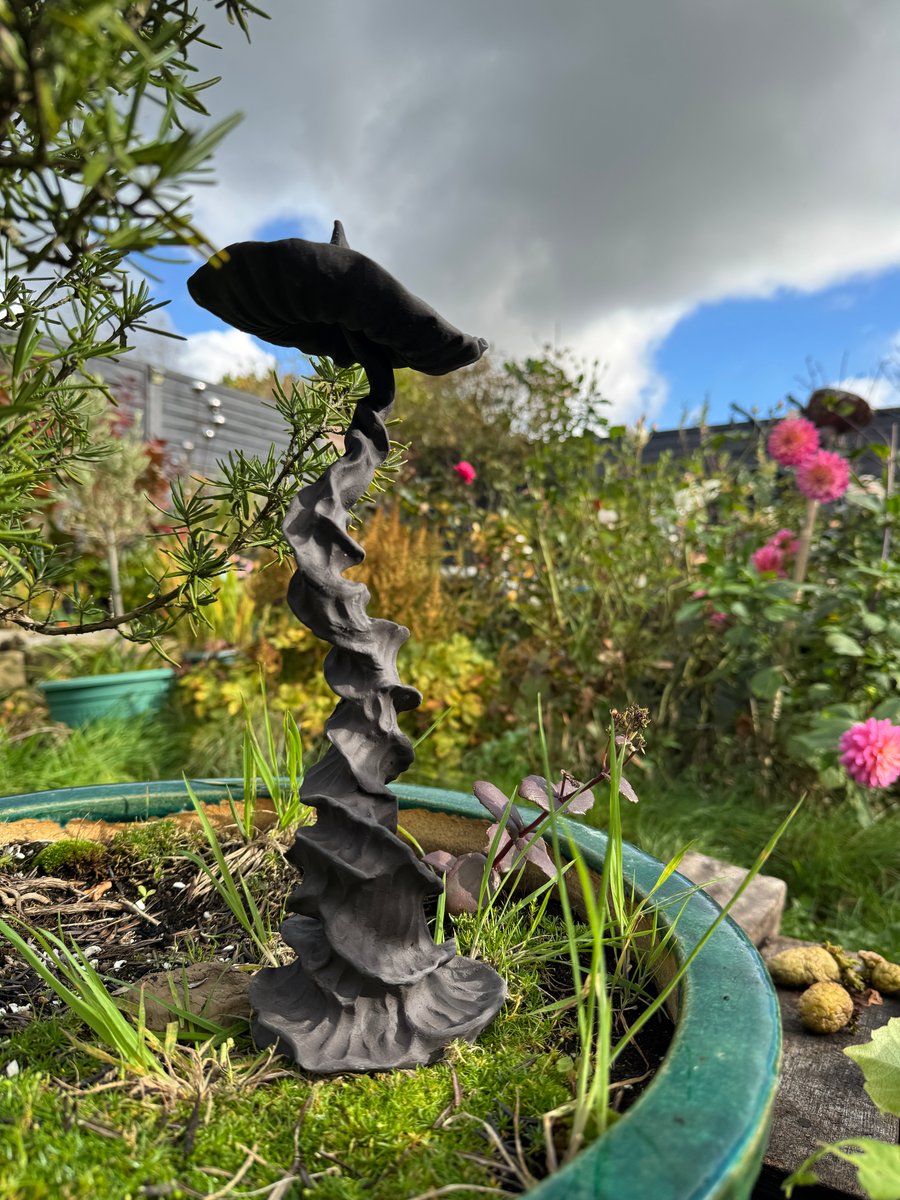 Sassiest fungi around