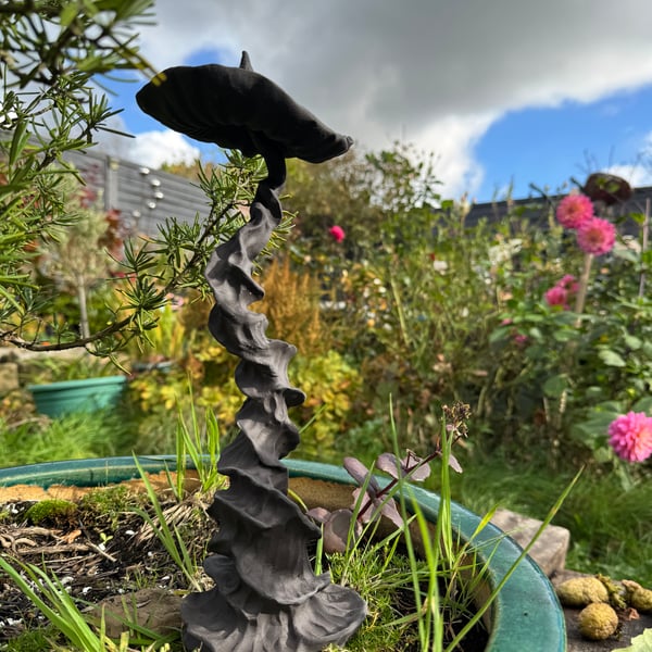 Sassiest fungi around