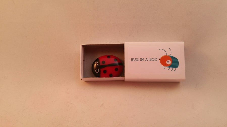 Bug In A Box - Fridge Magnet - Ladybird