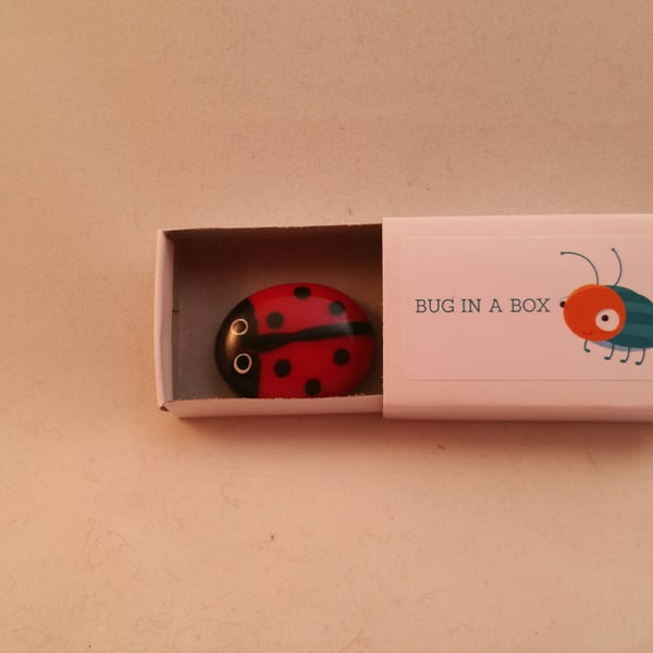 Bug In A Box - Fridge Magnet - Ladybird