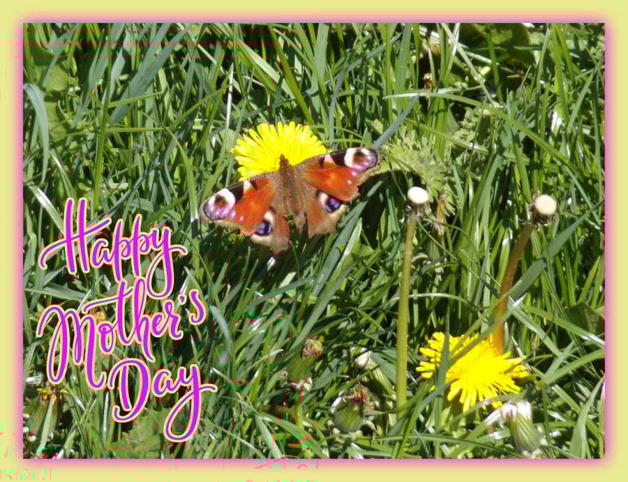 Butterfly in Meadow Mother's Day Greeting Card A5 Size 