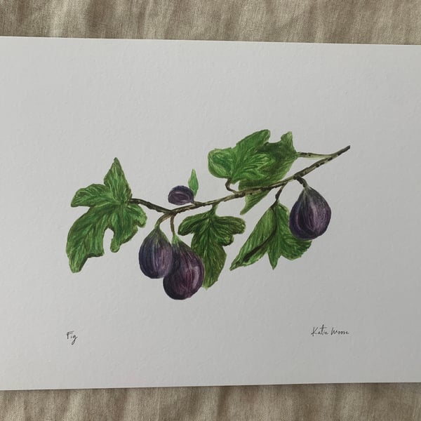 Fig A4 Eco-Friendly Art Print (Landscape)