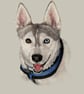 Pet Portrait - Image 3